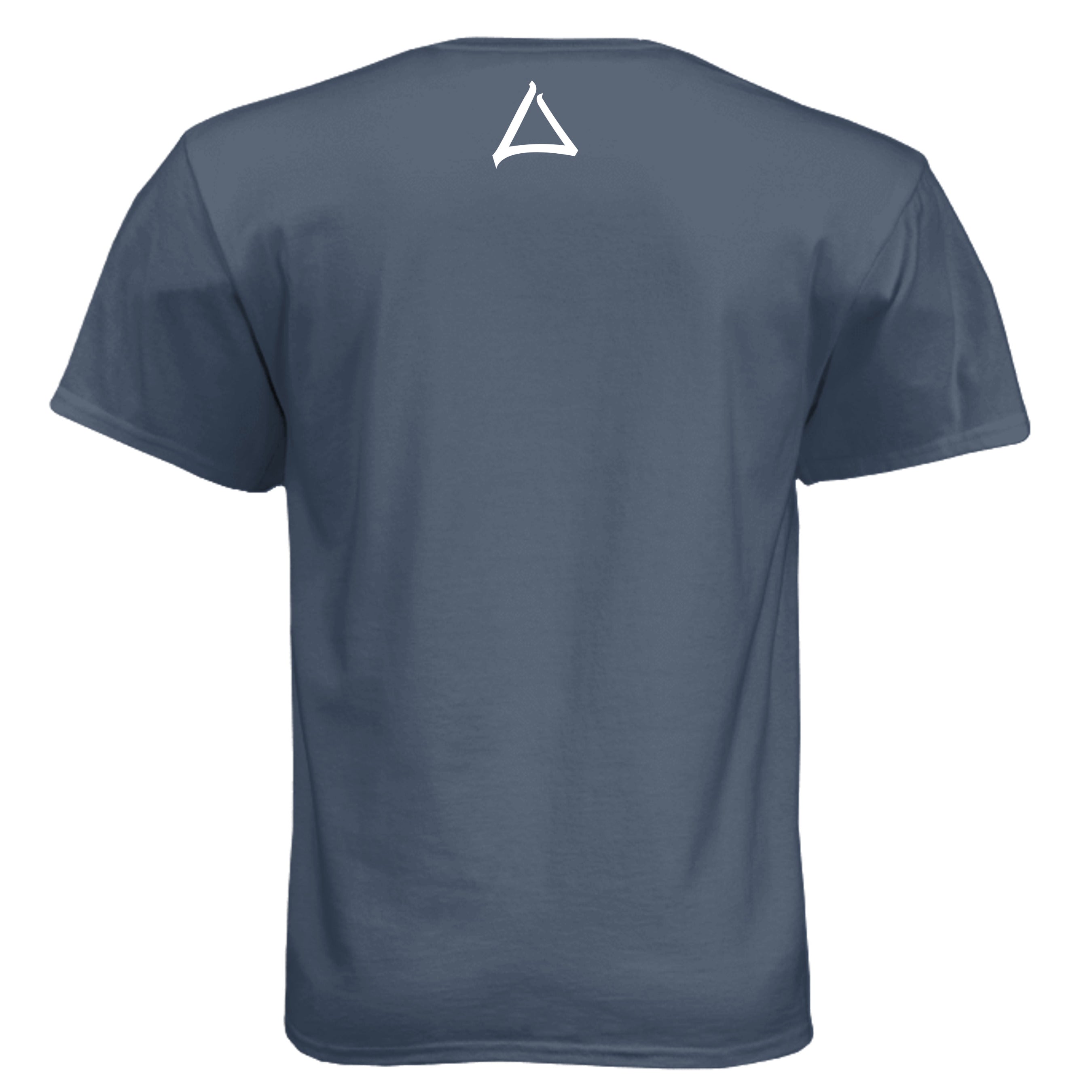 Legion Blue - 6010 - BACK